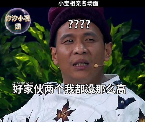 幽默搞笑综艺,欢乐无限